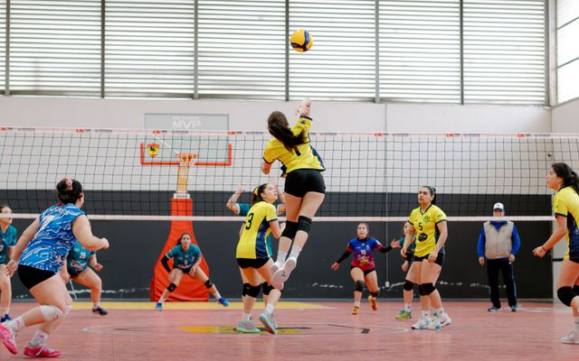 volejbal v hale